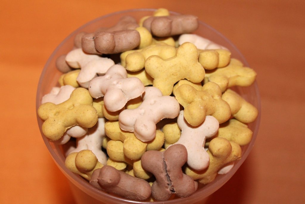 friandises chien