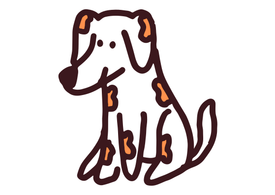 chien adulte